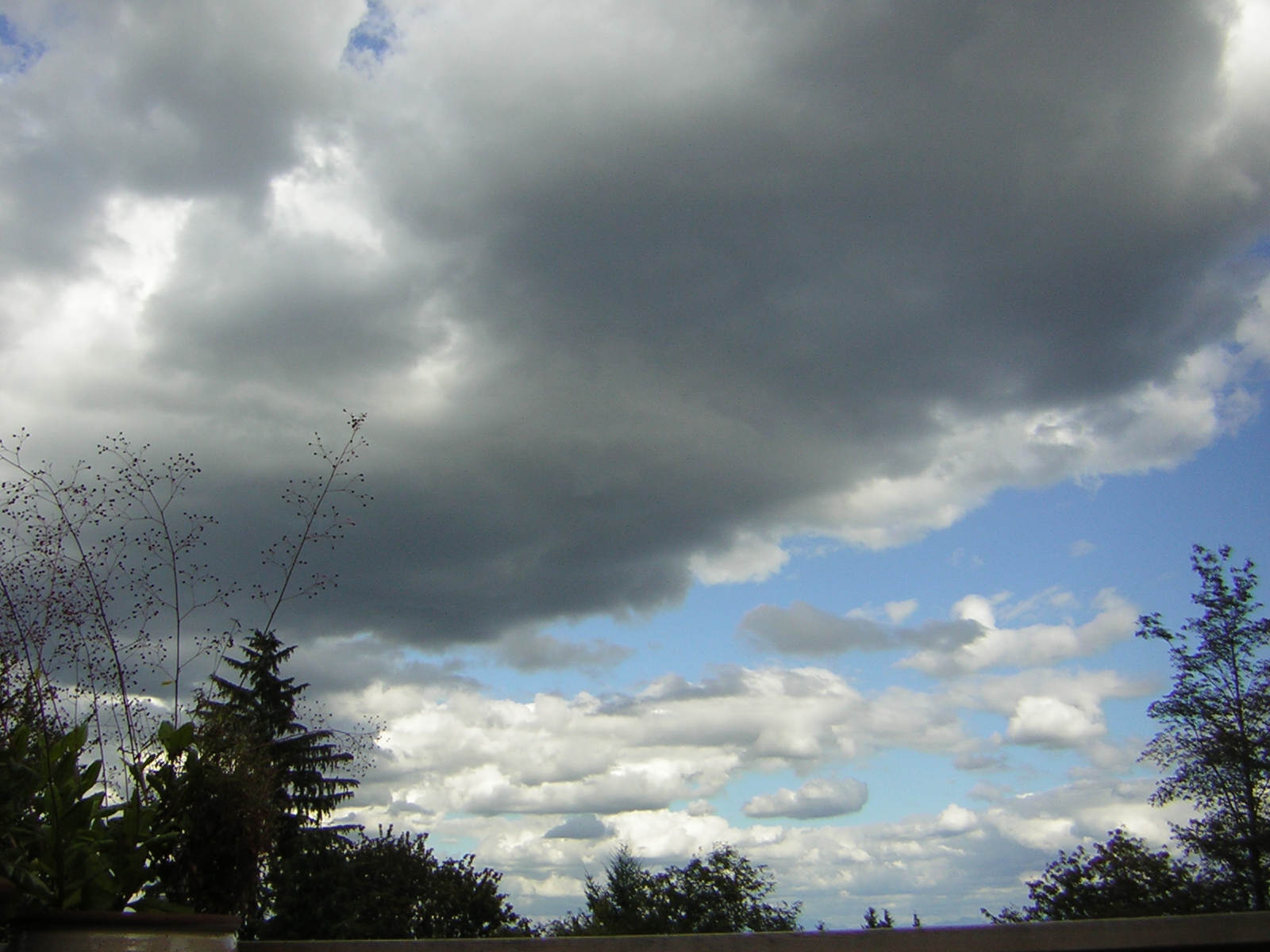 DSCN2720.jpg