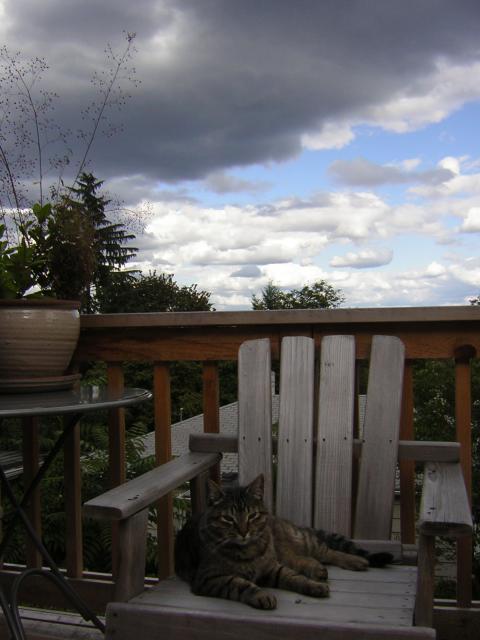 DSCN2721.jpg