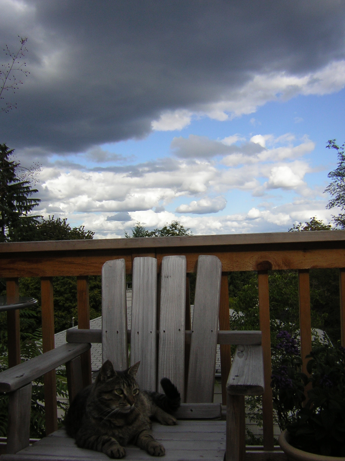 DSCN2722.jpg