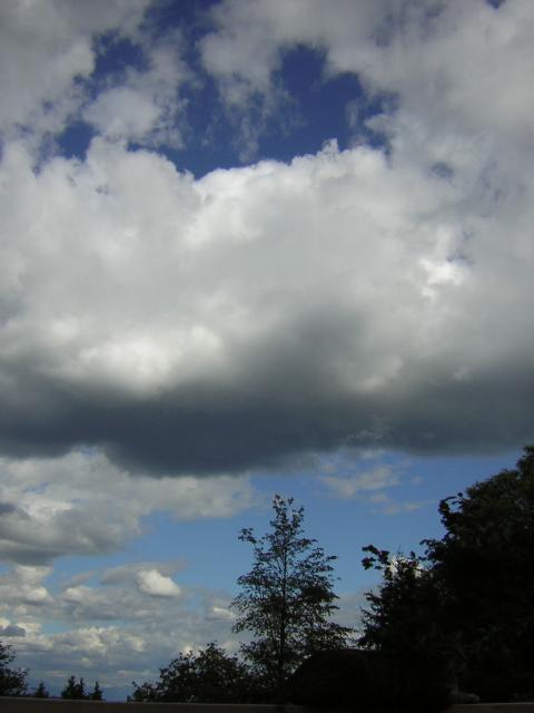 DSCN2723.jpg