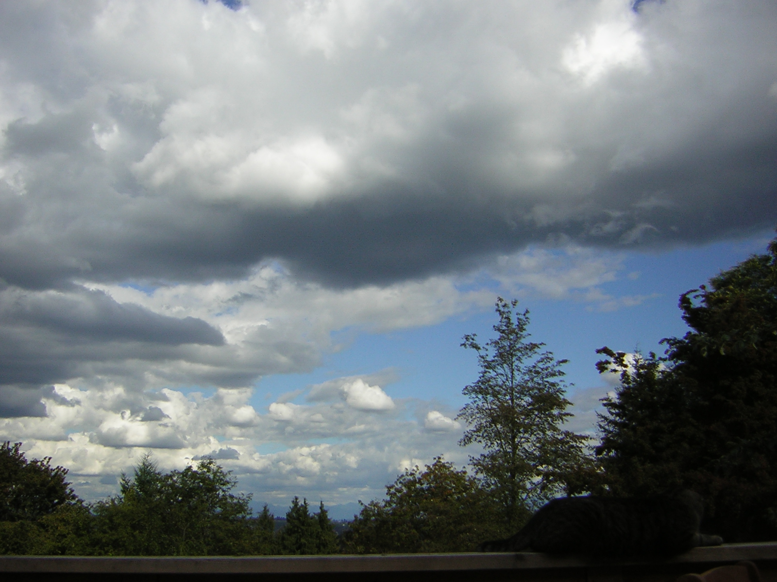 DSCN2724.jpg