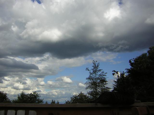 DSCN2725.jpg