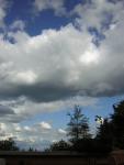 DSCN2727.jpg