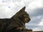 DSCN2728.jpg