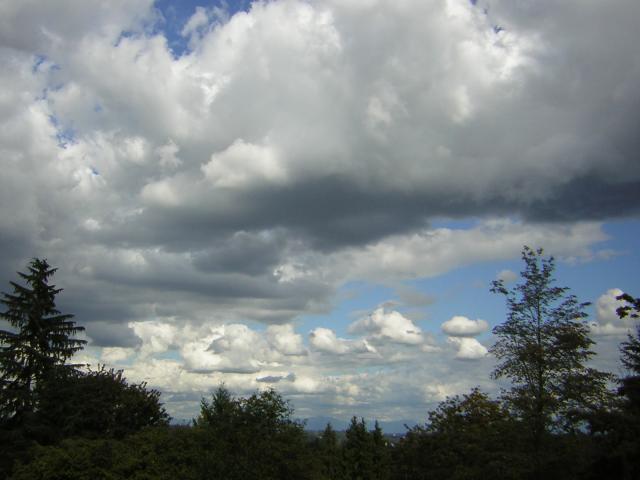 DSCN2729.jpg