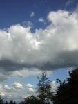 DSCN2730.jpg