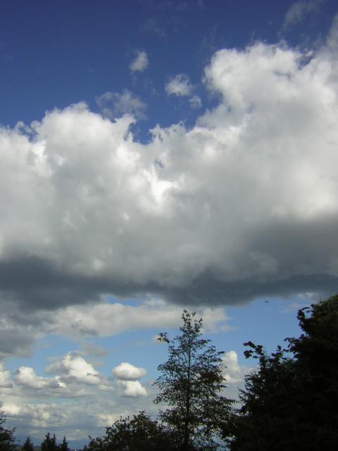DSCN2730.jpg