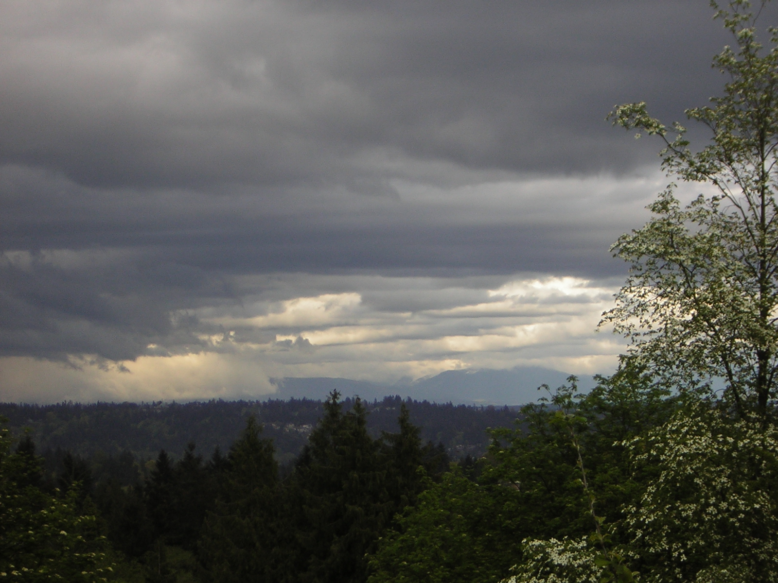 DSCN1464.jpg