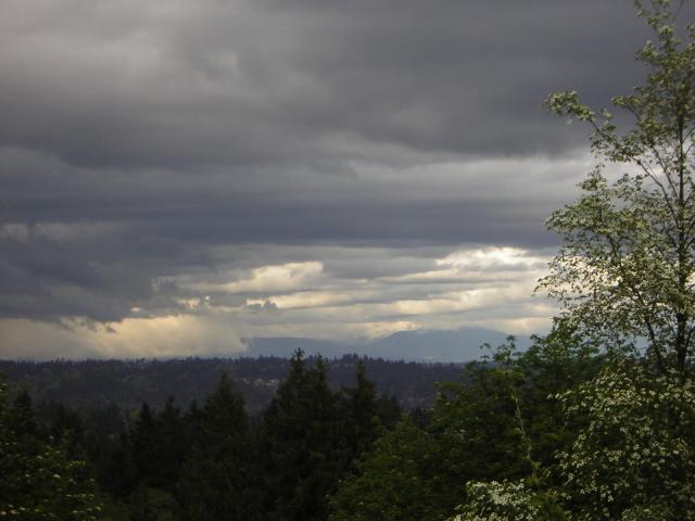 DSCN1464.jpg