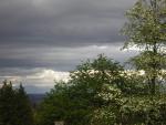 DSCN1466.jpg