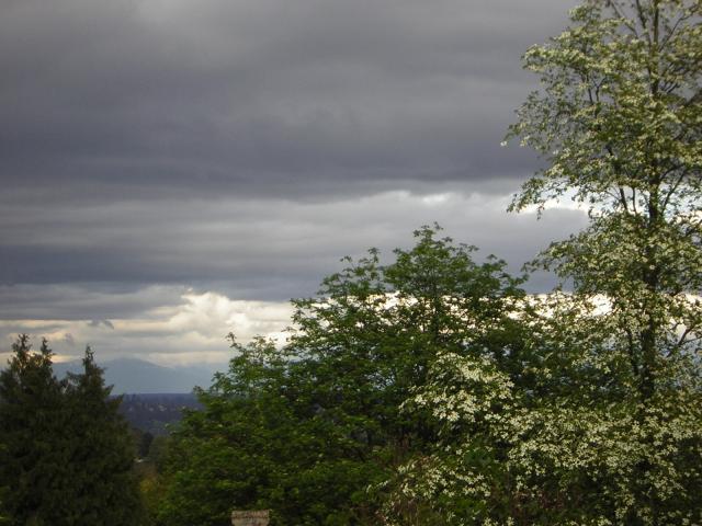 DSCN1466.jpg
