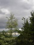 DSCN1467.jpg