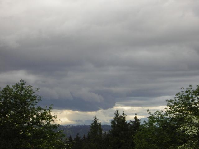 DSCN1469.jpg
