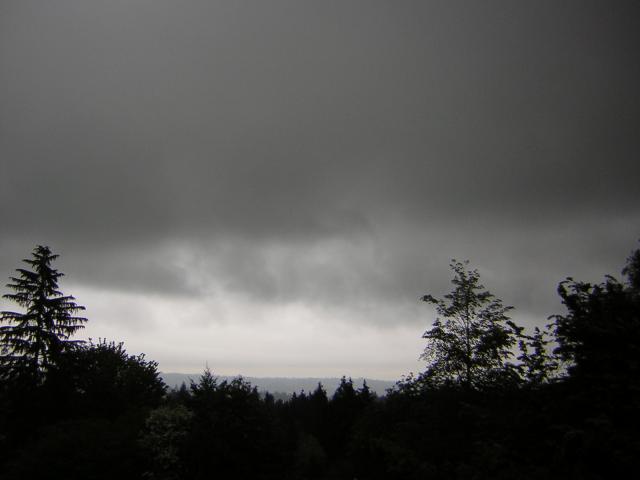 DSCN1505.jpg