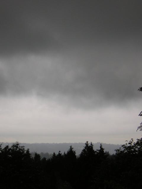 DSCN1506.jpg