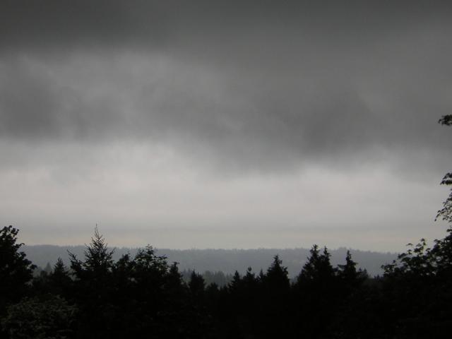 DSCN1507.jpg