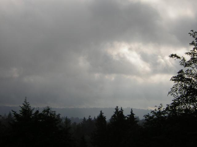 DSCN1773.jpg