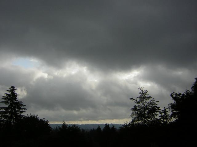 DSCN1775.jpg
