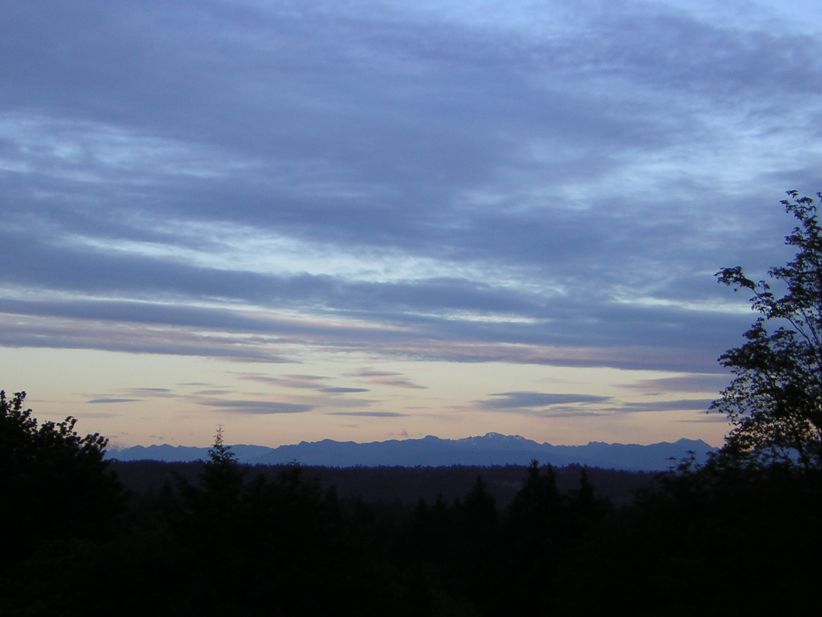 DSCN1822.jpg