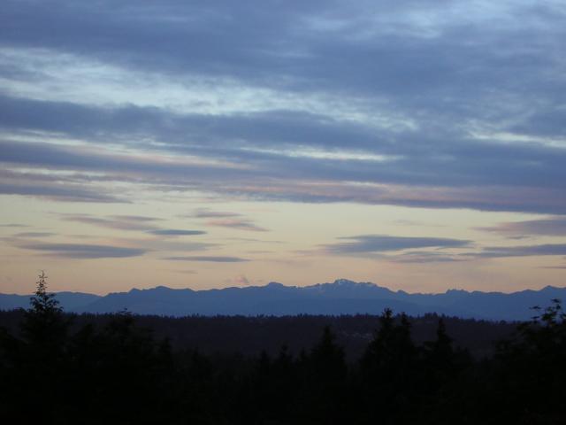 DSCN1823.jpg