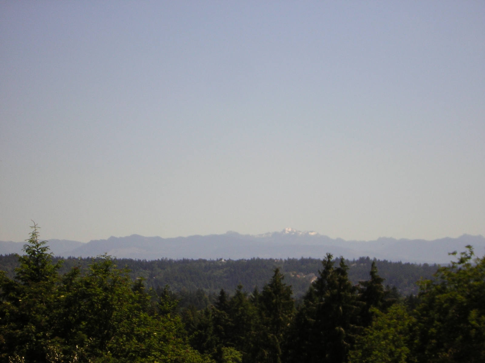 DSCN1837.jpg