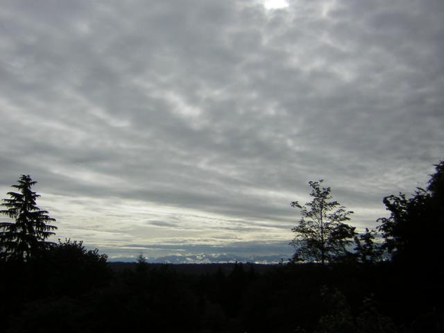 DSCN2016.jpg