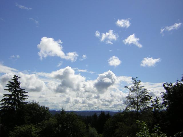 DSCN2018.jpg