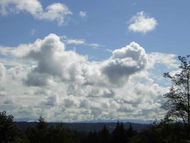 DSCN2019.jpg