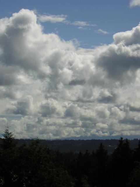 DSCN2020.jpg