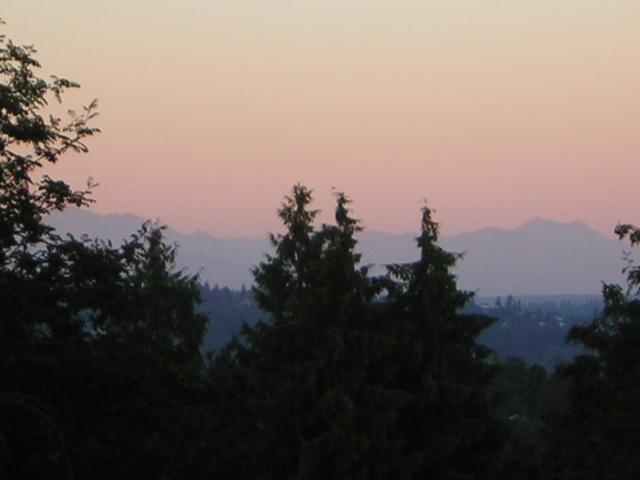 DSCN2452.jpg