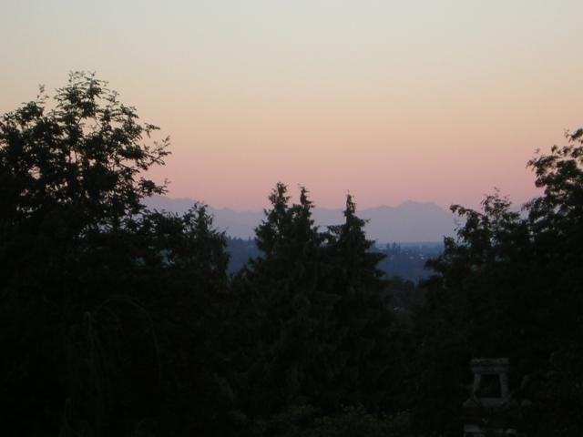 DSCN2453.jpg