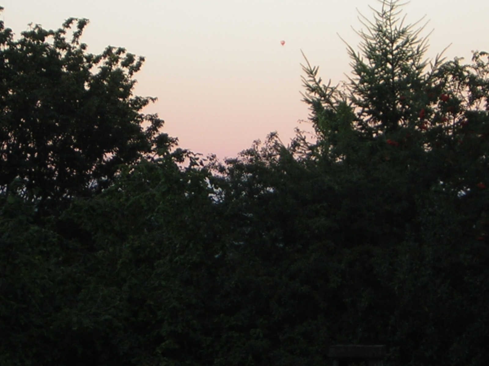 DSCN2454.jpg