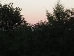DSCN2454.jpg