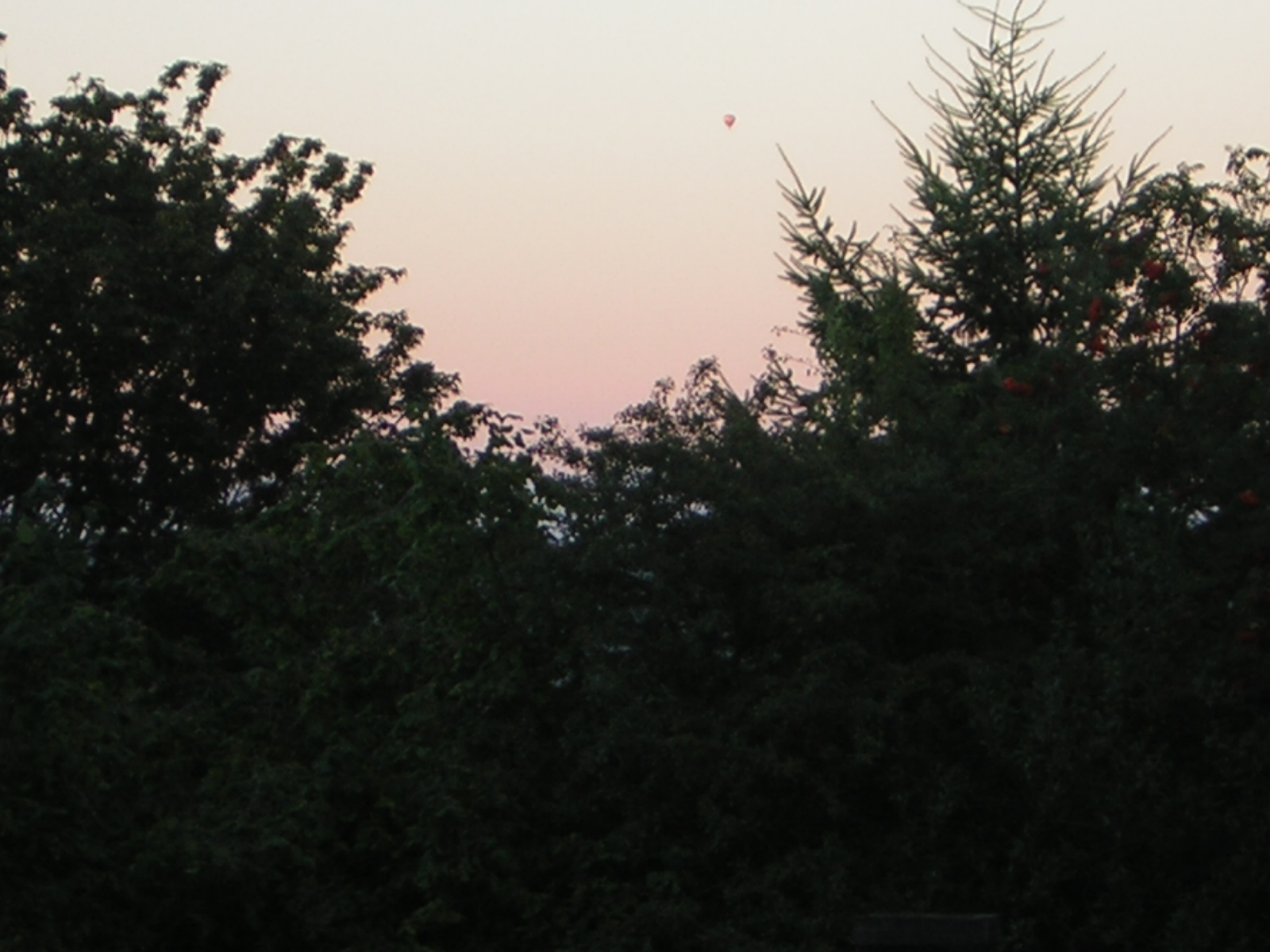 DSCN2455.jpg