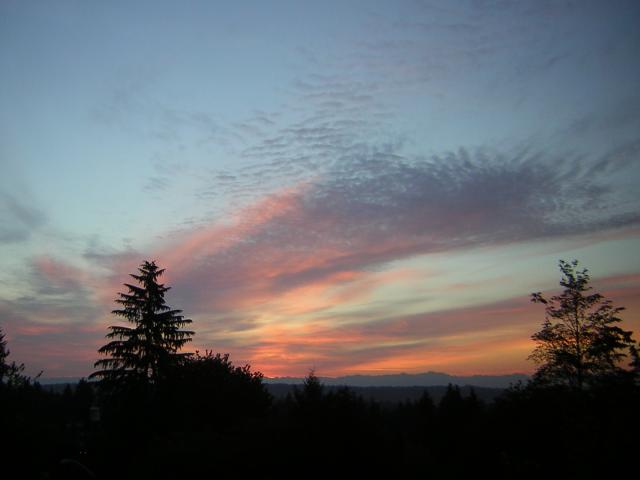 DSCN2627.jpg