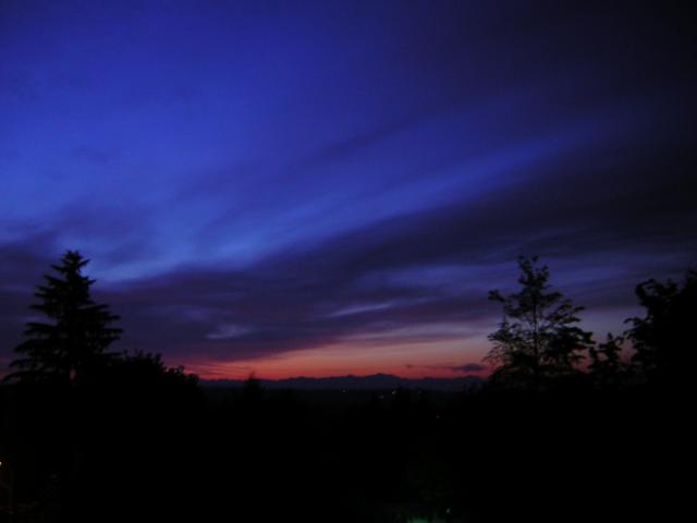 DSCN2610.jpg