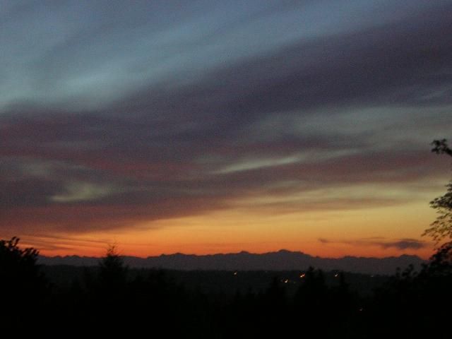 DSCN2611.jpg