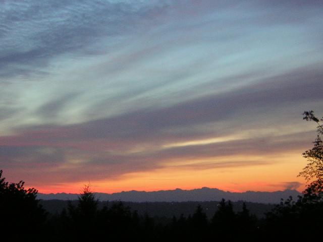 DSCN2613.jpg