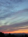 DSCN2614.jpg