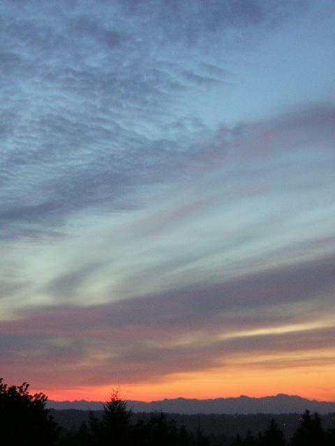 DSCN2614.jpg