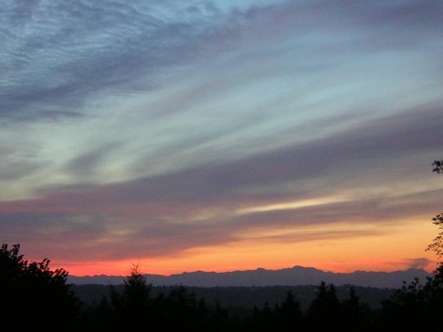 DSCN2615.jpg