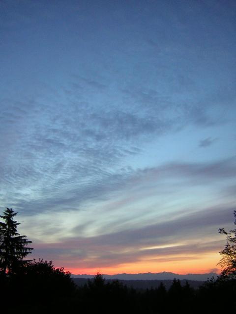 DSCN2616.jpg