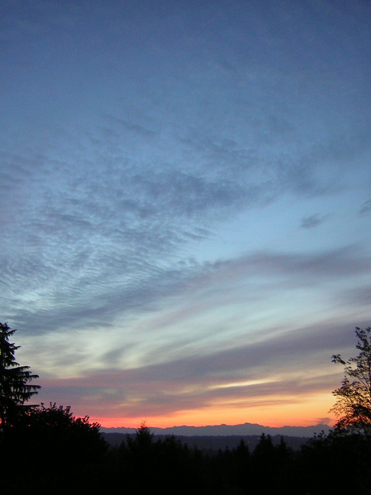 DSCN2617.jpg