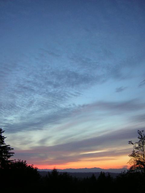 DSCN2618.jpg