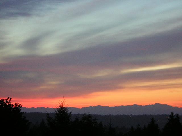 DSCN2620.jpg