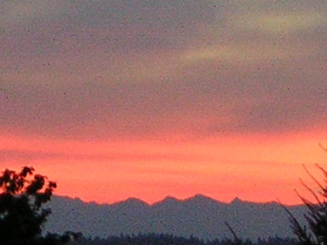 DSCN2621.jpg