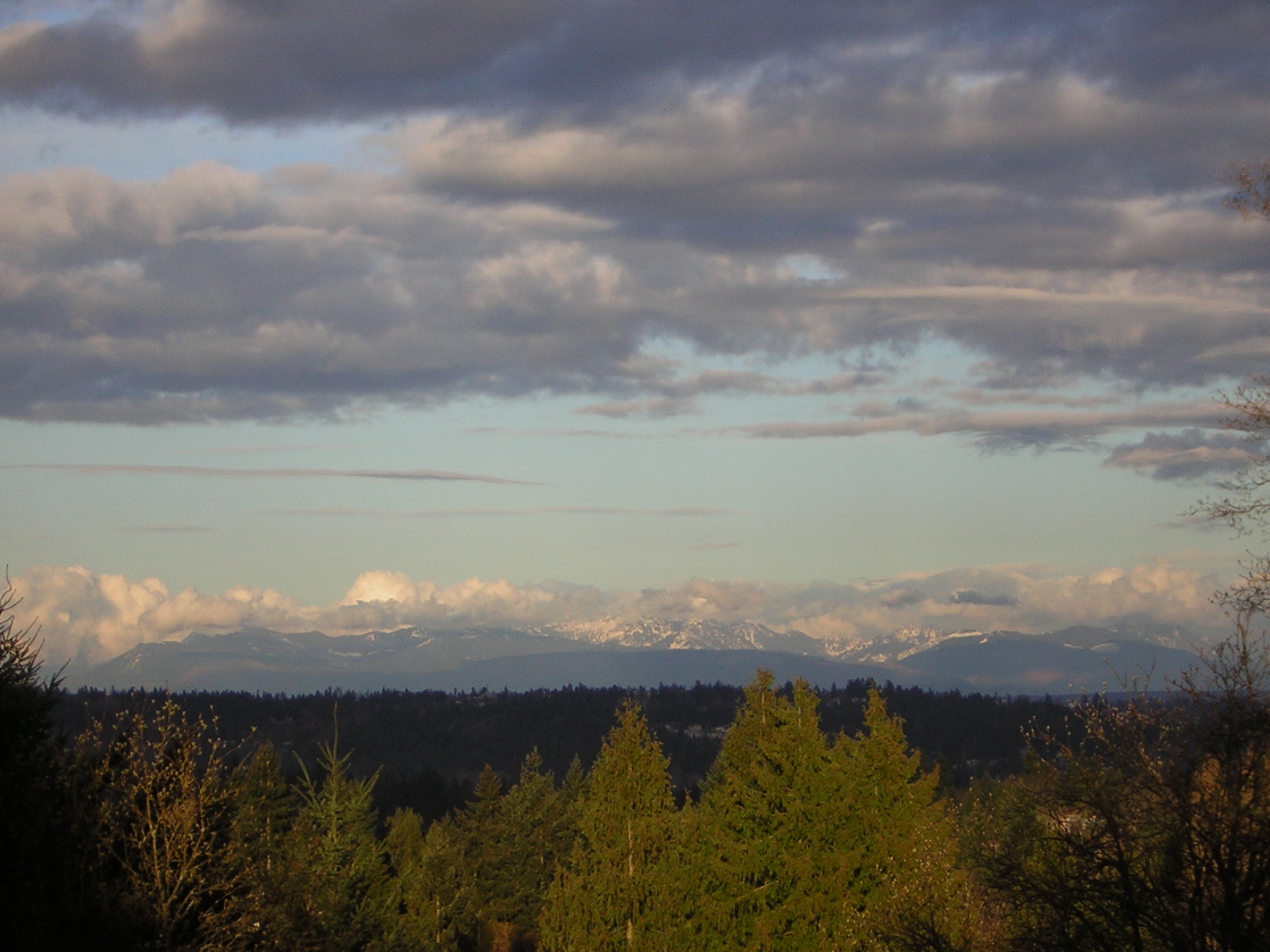 DSCN3024.jpg