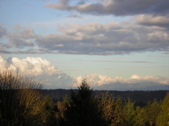 DSCN3025.jpg