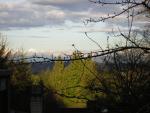 DSCN3026.jpg