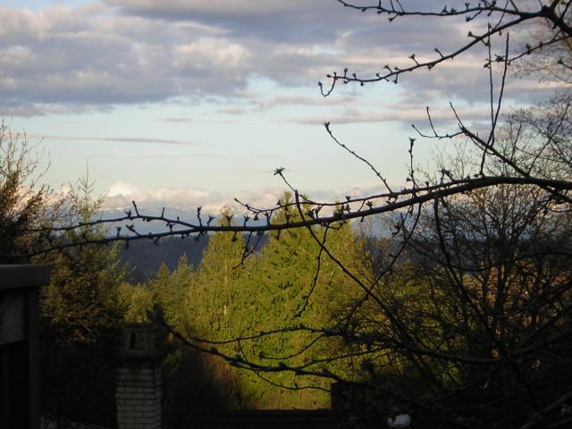 DSCN3026.jpg